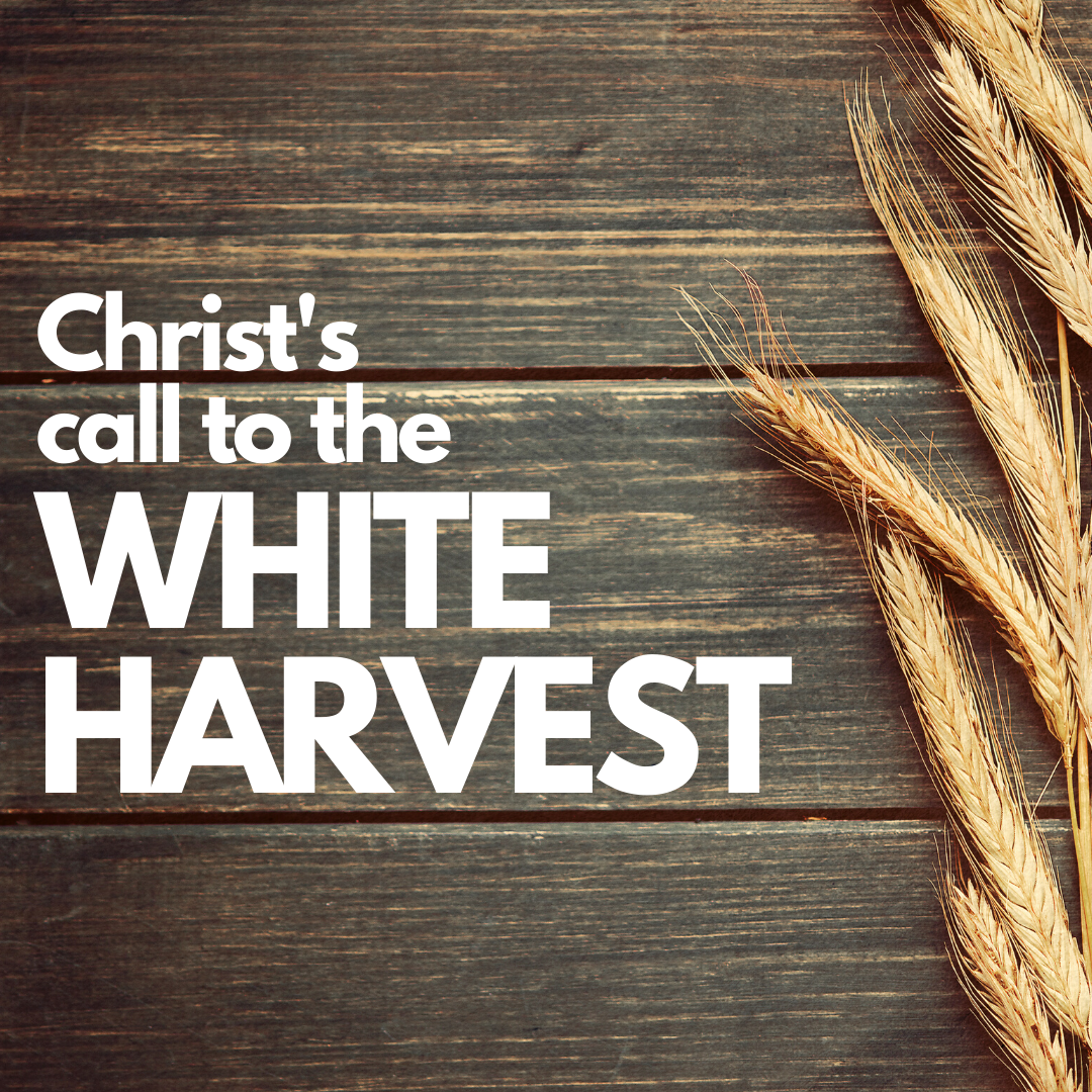 Christ S Call To The White Harvest White Harvest Evangelical Church