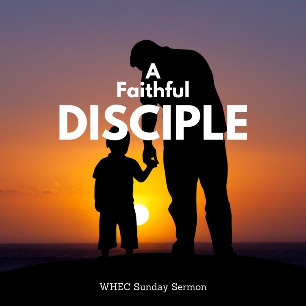 Who is a Faithful Disciple?